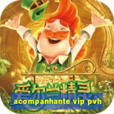 acompanhante vip pvh